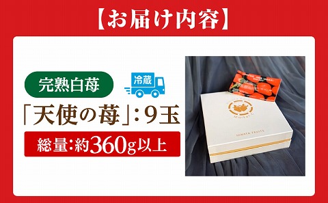 《2026年発送》【数量・期間限定】宮崎完熟白9PREMIUMギフト 完熟 甘い 白苺 いちご イチゴ 苺 果物 フルーツ