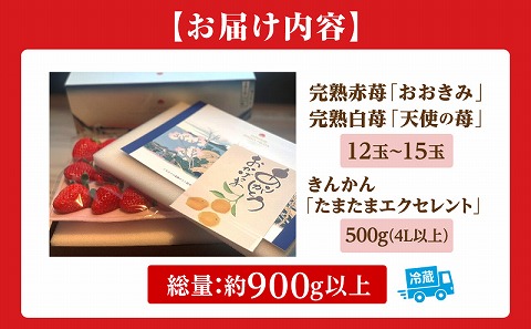 《2026年発送》【数量・期間限定】宮崎冬物語HOKUSAIGIFT紅白苺＋たまたまエクセレント 苺 いちご イチゴ おおきみ苺 おおきみいちご 白イチゴ 白苺 白いちご きんかん キンカン エクセレント 柑橘類 柑橘 果物 くだもの フルーツ ギフト 贈り物 贈答
