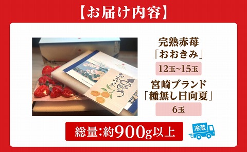 《2026年発送》【数量・期間限定】宮崎冬物語HOKUSAIGIFT紅苺＋種無し日向夏 苺 いちご イチゴ おおきみ苺 おおきみいちご 日向夏 柑橘類 柑橘 果物 くだもの フルーツ ギフト 贈り物