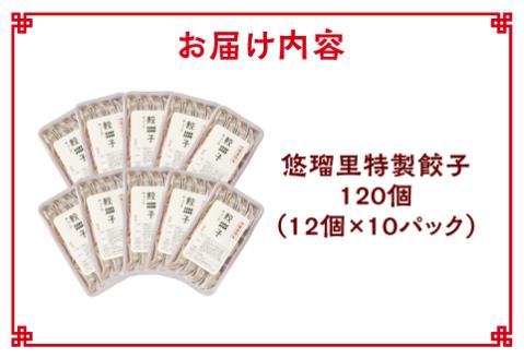 悠瑠里特製餃子120個