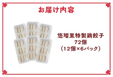 悠瑠里特製鶏餃子72個