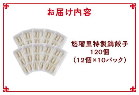 悠瑠里特製鶏餃子120個