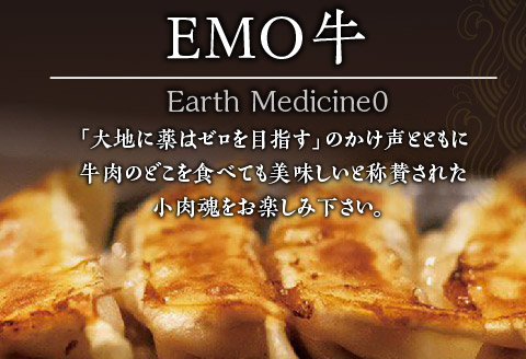 牧場育ち 牛肉100％旨み餃子（餃子12個パック×5）