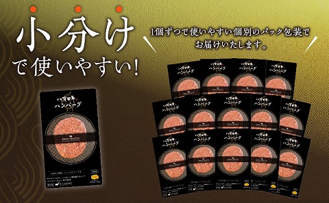 宮崎県産黒毛和牛100％グリルハンバーグ1.5kg