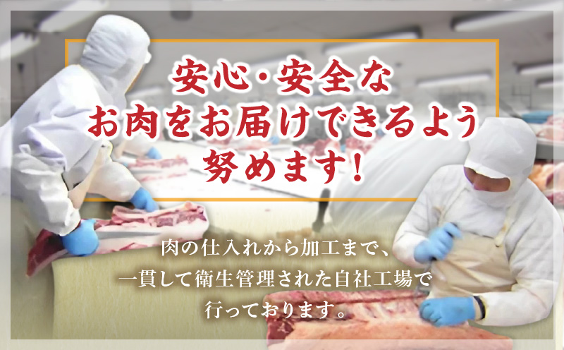 宮崎牛ロースステーキ500g 宮崎牛 サーロイン リブロース