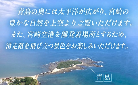 宮崎市ヘリコプター遊覧チケット（青島コース）　※宮崎空港離発着
