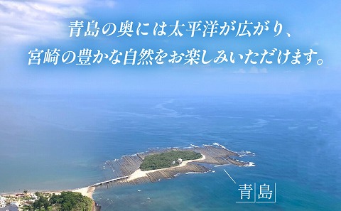 宮崎市ヘリコプター遊覧チケット（青島コース）　※田野離発着