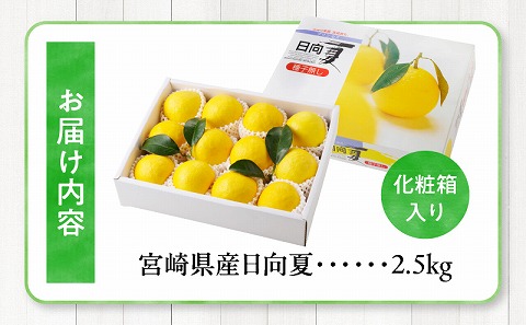 《2026年発送先行予約》【数量・期間限定】宮崎県産日向夏　2.5kg　化粧箱入り 日向夏 果物 フルーツ