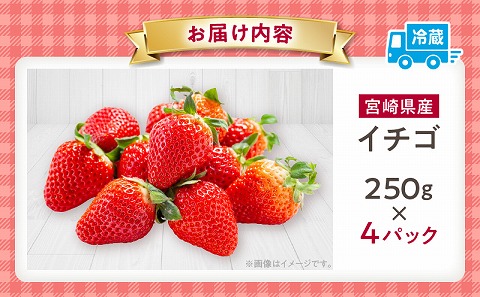 《2026年発送先行予約》【数量・期間限定】宮崎県産イチゴ 250g×4パック 果物 苺 フルーツ
