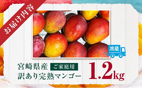 《2026年発送先行予約》【数量・期間限定】宮崎県産 訳あり完熟マンゴー 1.2kg 訳あり 完熟マンゴー 果物