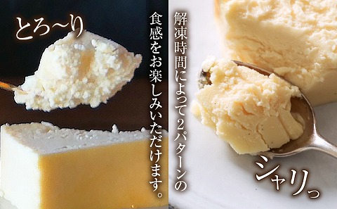 宮崎ワンダフルチーズケーキ