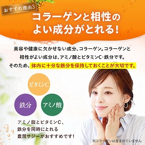 豊潤サジー 1000ml×2本セット サジージュース【紙パックタイプ】