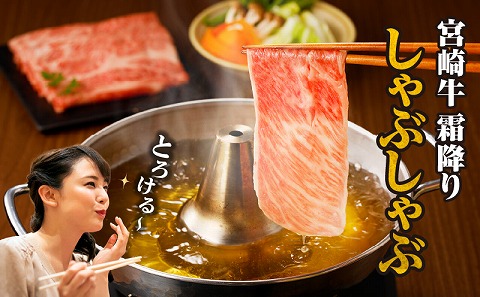 宮崎牛霜降りすきしゃぶ 300g×2