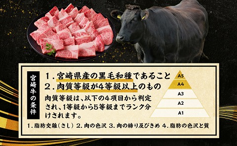 宮崎牛霜降り焼肉