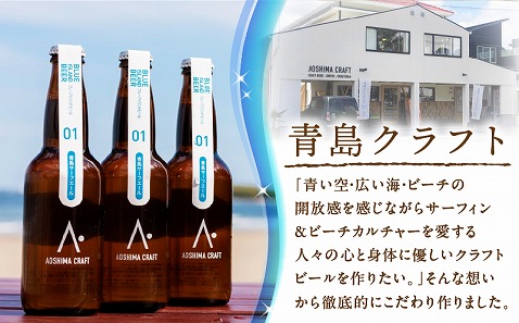 青島サーフエール6本セット