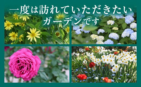 青島こどものくに　バラ園入場券5枚セット　ガーデンのサシェ大付き