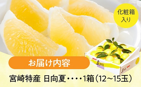 【先行予約】【期間・数量限定】宮崎特産 日向夏