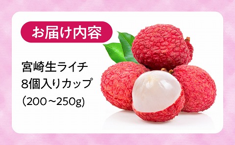 《2026年発送先行予約》【数量・期間限定】宮崎生ライチ 新鮮 果実 濃厚