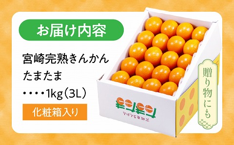 【先行予約】【期間・数量限定】宮崎完熟きんかん たまたま