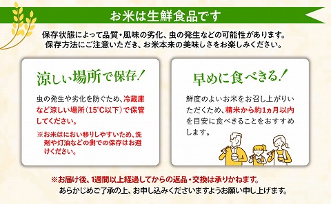 【令和6年度米】宮崎県産ヒノヒカリ 5kg×2袋 合計10kg