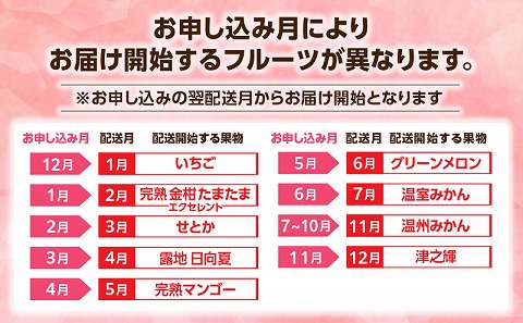 【期間・数量限定】特選！旬のフルーツ9ヶ月定期便vol.1