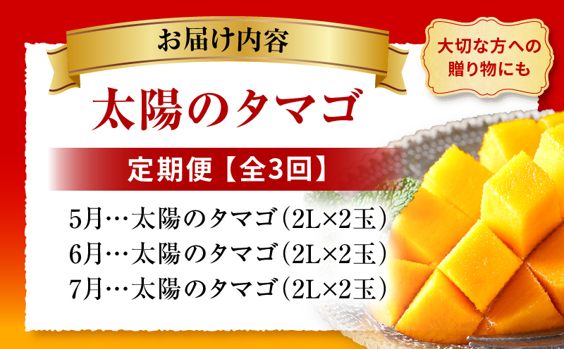 《2026年発送先行予約》【数量・期間限定】【全3回】太陽のタマゴ定期便 マンゴー 宮崎マンゴー 定期便 果物定期便 果物 フルーツ定期便 フルーツ デザート