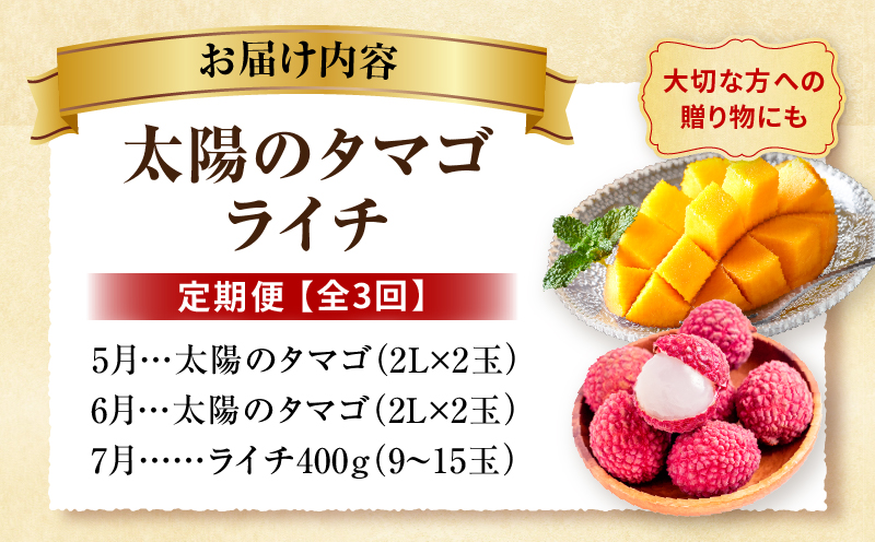 《2026年発送先行予約》【数量・期間限定】【全3回】太陽のタマゴ・ライチ定期便 マンゴー 宮崎マンゴー ライチ 定期便 果物定期便 果物 フルーツ定期便 フルーツ デザート