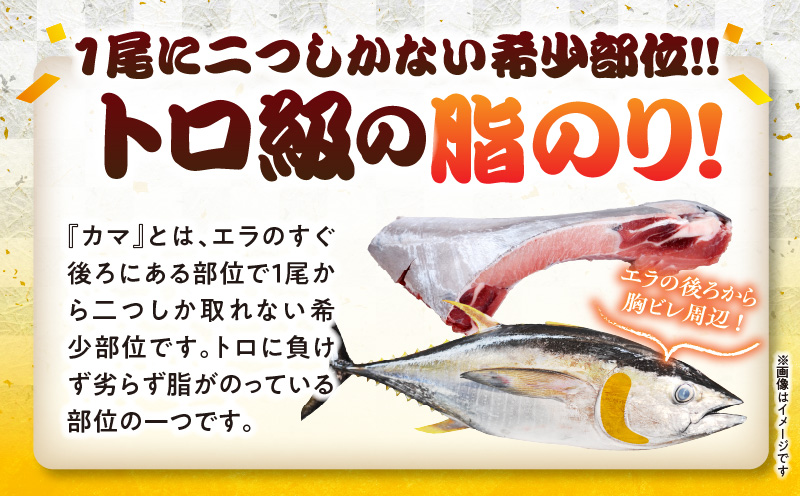 カマトロリシャス宮崎のマグロ カマ焼き キハダマグロ 新鮮