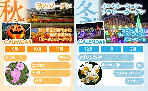 フローランテ宮崎年間パスポート（大人）