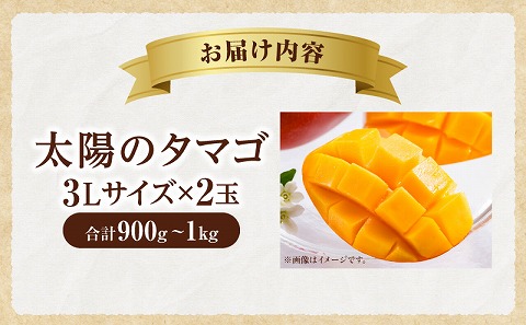 《2026年発送先行予約》【数量・期間限定】太陽のタマゴ 3Lサイズ 2玉