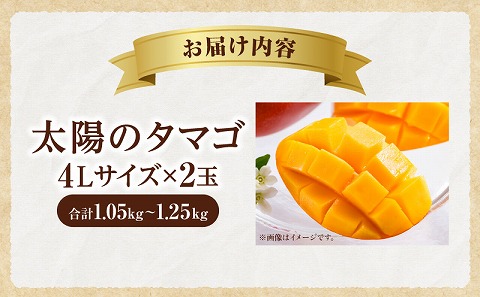 《2026年発送先行予約》【数量・期間限定】太陽のタマゴ 4Lサイズ 2玉