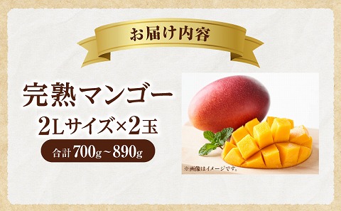 《2026年発送先行予約》【数量・期間限定】完熟マンゴー 2Lサイズ 2玉 完熟 甘味 南国