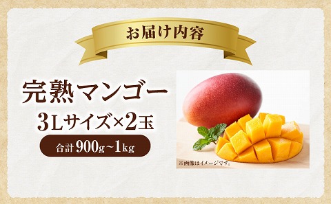 《2026年発送先行予約》【数量・期間限定】完熟マンゴー 3Lサイズ 2玉 完熟 甘味 南国