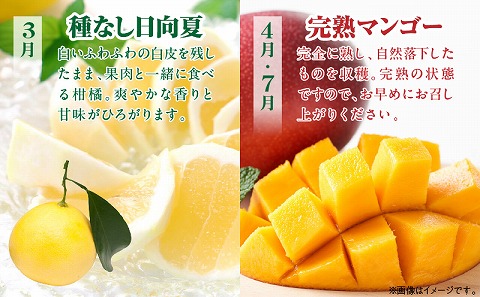 《2026年発送先行予約》【数量・期間限定】【定期便】宮崎市特産くだもの7ヶ月コース 果物 フルーツ 特産