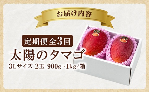 《2026年発送先行予約》【数量・期間限定】3回定期便 3L2玉太陽のタマゴコース 果物 フルーツ マンゴー