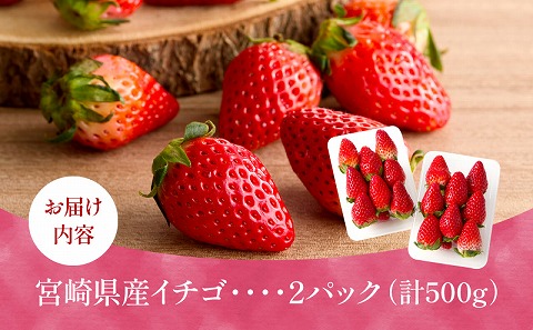 《2026年発送》【数量・期間限定】宮崎県産イチゴ 2パック ストロベリー フルーツ 果物 旬