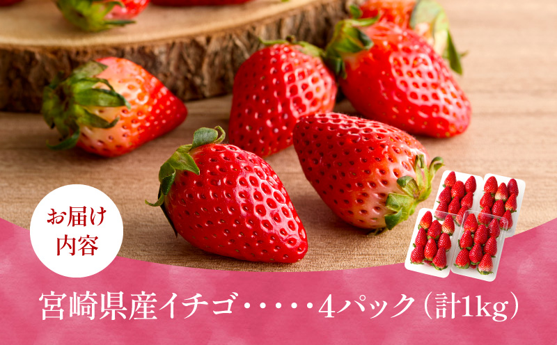 《2026年発送》【数量・期間限定】宮崎県産イチゴ 4パック 果物 フルーツ 苺