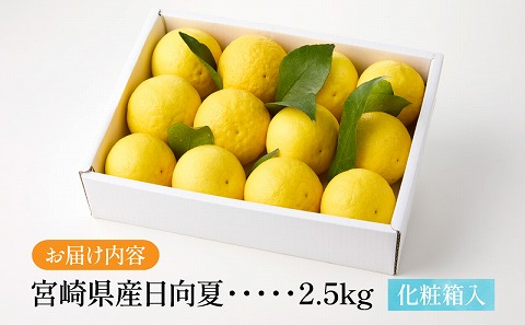 《2026年発送先行予約》【期間・数量限定】宮崎県産日向夏2.5kg　化粧箱入り フルーツ 柑橘 日向夏
