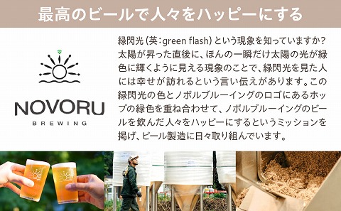 ノボル6缶 4ヶ月定期便セット アルコール お酒 ビール