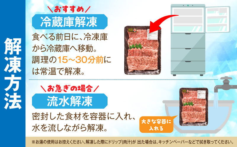 宮崎牛 カルビ焼肉500g 肉 宮崎牛 焼肉