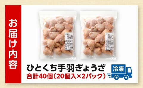 ひとくち 手羽 ぎょうざ 計40個 20個入×2パック