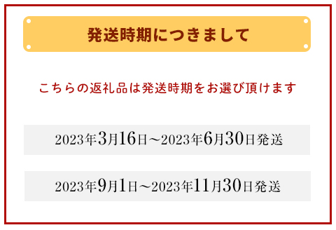 《2023年9月1日～2023年11月30日発送》 コチョウラン 3本立