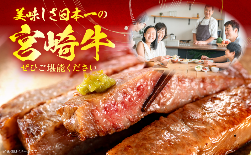 【全12回定期便】宮崎牛グランドセレクション 肩ロース ペッパーハンバーグ 焼肉