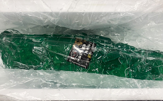 《津本式》へべすぶり1尾　～津本光弘本人仕立て～