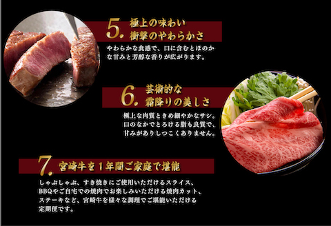 《期間・数量限定》特選! 宮崎牛定期便Sコース 2024年3月からお届け! 全12回_M153-T020