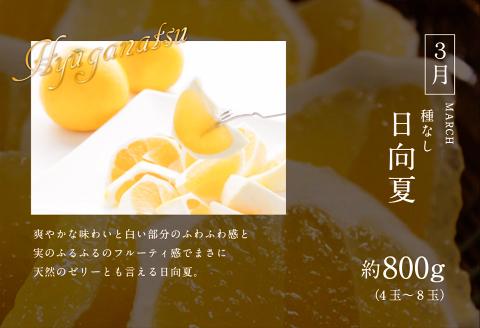 《2026年発送先行予約》【数量・期間限定】青果店厳選！「3ヶ月お届け！くだもの定期便Vol.1」 青果物 果物 フルーツ