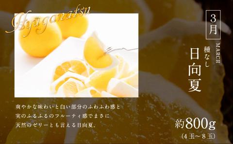 《2026年発送先行予約》【数量・期間限定】青果店厳選！「3ヶ月お届け！くだもの定期便Vol.2」 青果物 果物 フルーツ