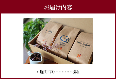 焼き立て 自家焙煎 珈琲豆 おまかせ 3種類 セット