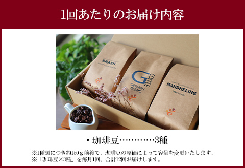 定期便 焼き立て 自家焙煎 珈琲豆 おまかせ 3種類セット 12ヶ月コース