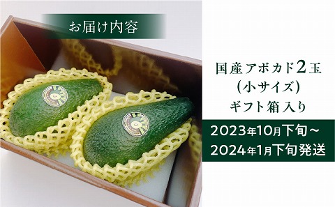 【2023年10月下旬～2024年1月下旬発送】横山果樹園の「国産アボカド２玉（小サイズ）」ギフト箱入り